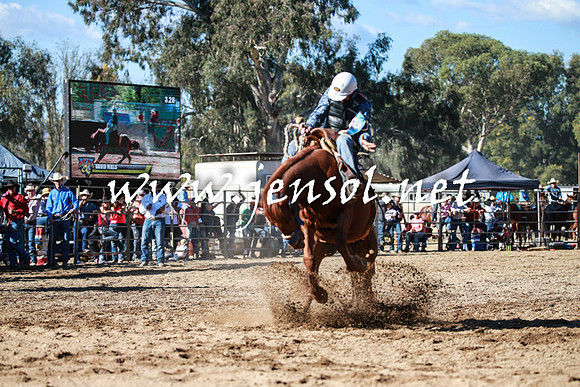 TumutRodeo2016Two_3612