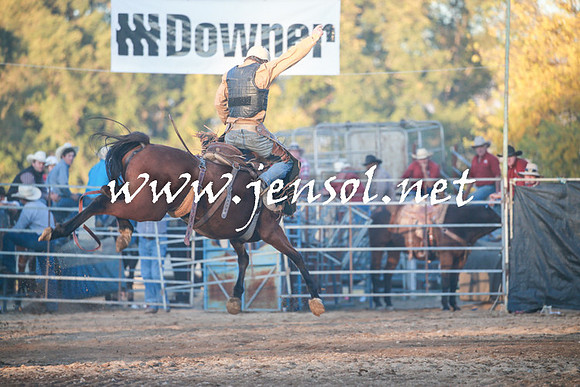 TumutRodeo2016Two_4760