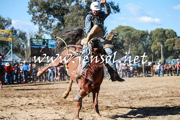 TumutRodeo2016Two_3622