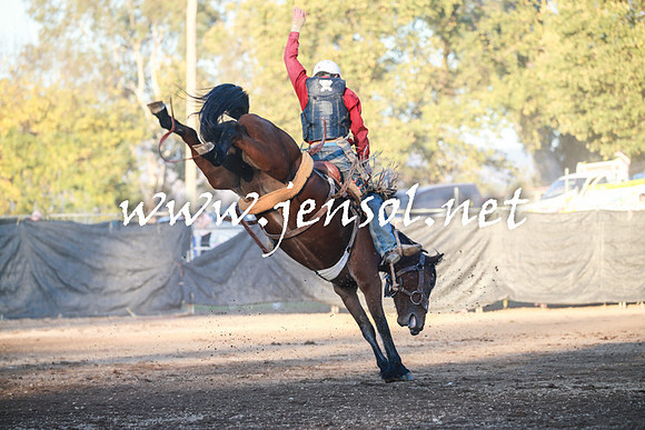 TumutRodeo2016Two_4664