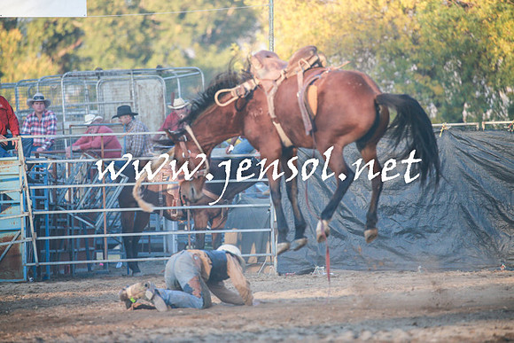 TumutRodeo2016Two_4772