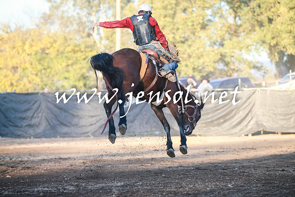 TumutRodeo2016Two_4644