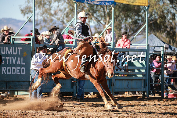 TumutRodeo2016Two_3790