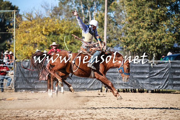 TumutRodeo2016Two_3757