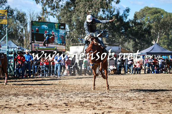 TumutRodeo2016Two_3608