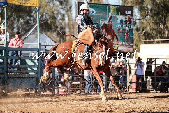 TumutRodeo2016Two_3802