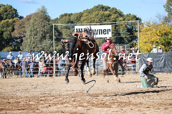 TumutRodeo2016Two_3735