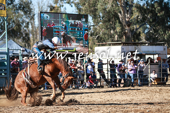 TumutRodeo2016Two_3677
