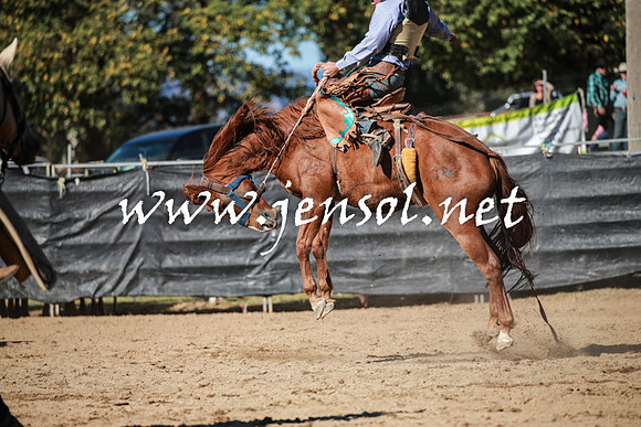 TumutRodeo2016Two_3776