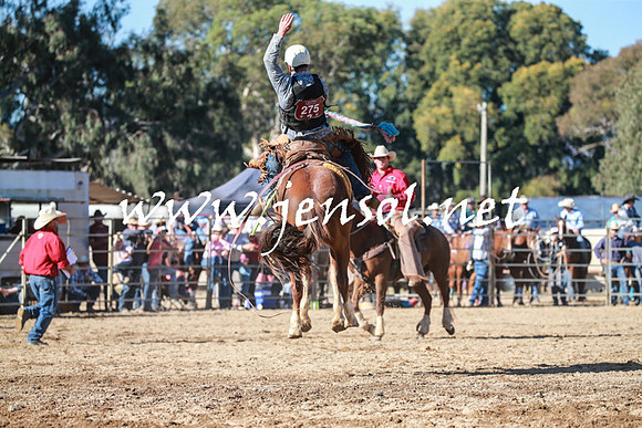 TumutRodeo2016Two_3824