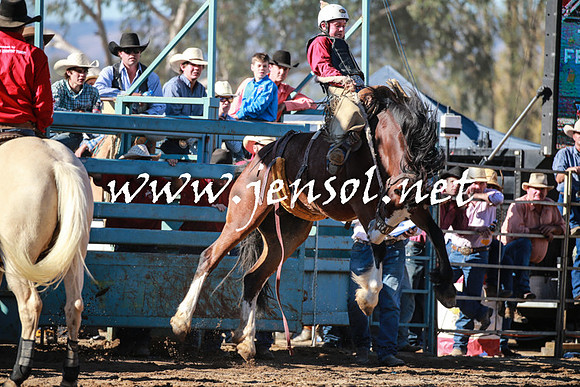 TumutRodeo2016Two_3858