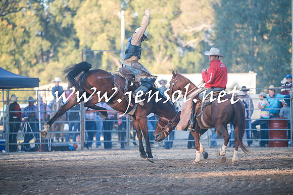 TumutRodeo2016Two_4740