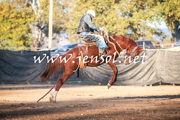 TumutRodeo2016Two_4578