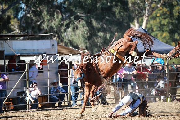 TumutRodeo2016Two_3787
