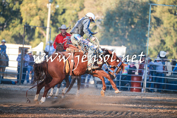 TumutRodeo2016Two_4548