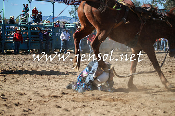 TumutRodeo2016Two_3655