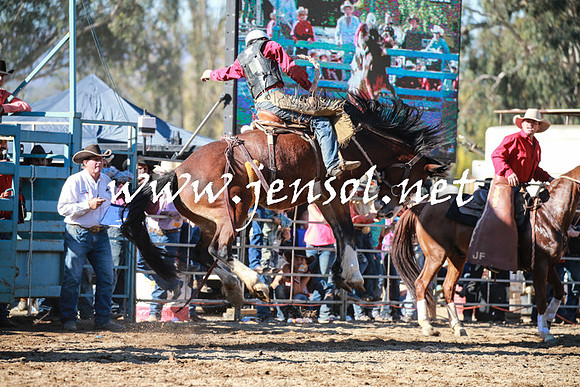 TumutRodeo2016Two_3853