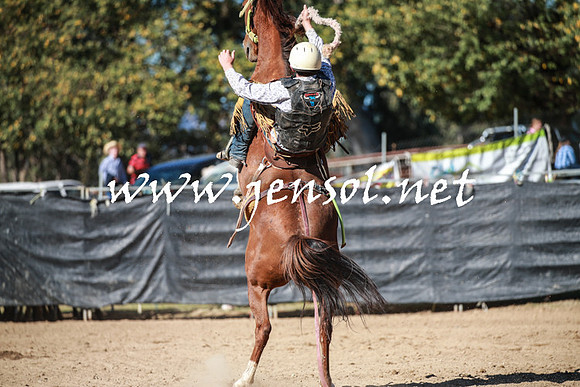 TumutRodeo2016Two_3488