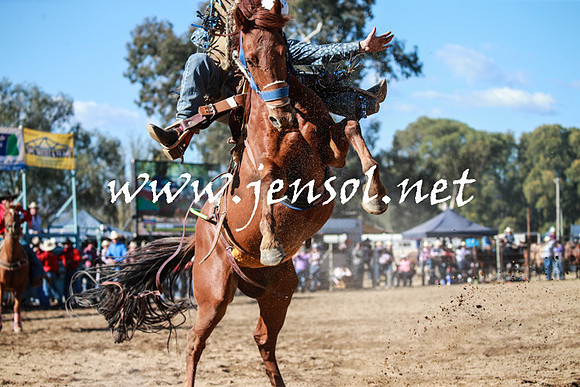 TumutRodeo2016Two_3627