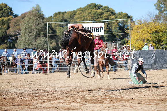 TumutRodeo2016Two_3721