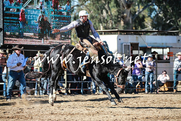 TumutRodeo2016Two_3415