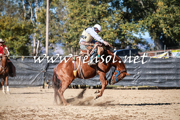TumutRodeo2016Two_3766