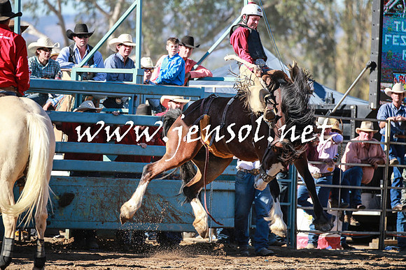 TumutRodeo2016Two_3860