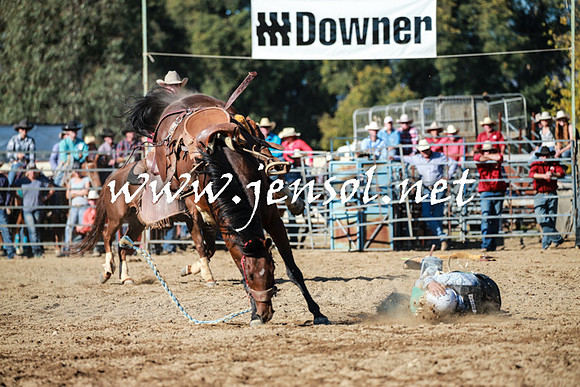 TumutRodeo2016Two_3723