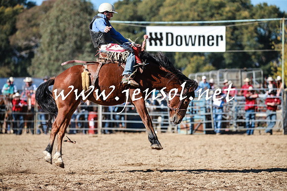 TumutRodeo2016Two_3597