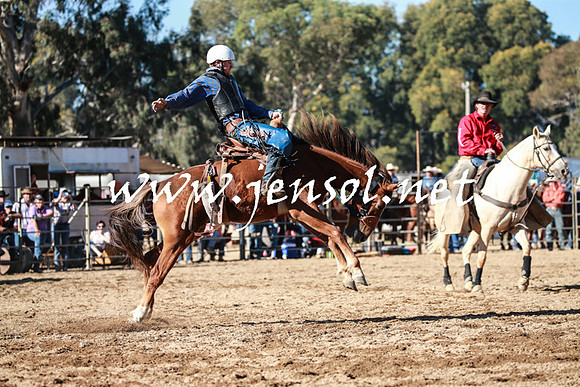 TumutRodeo2016Two_3690