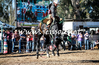 TumutRodeo2016Two_3553