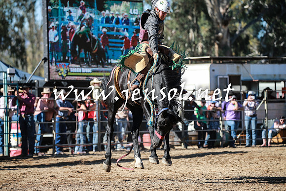 TumutRodeo2016Two_3553