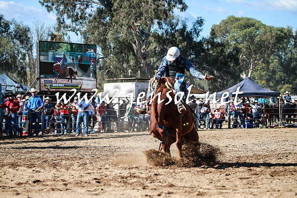 TumutRodeo2016Two_3619