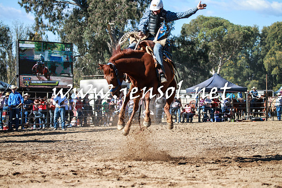 TumutRodeo2016Two_3615