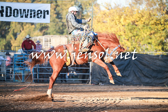 TumutRodeo2016Two_4555