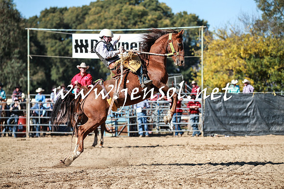 TumutRodeo2016Two_3468