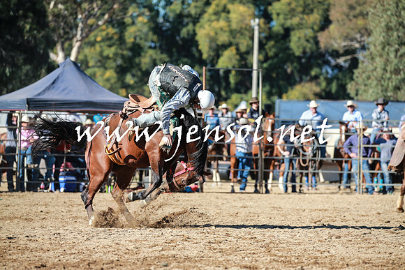 TumutRodeo2016Two_3710