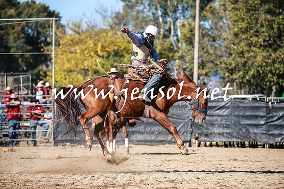 TumutRodeo2016Two_3755