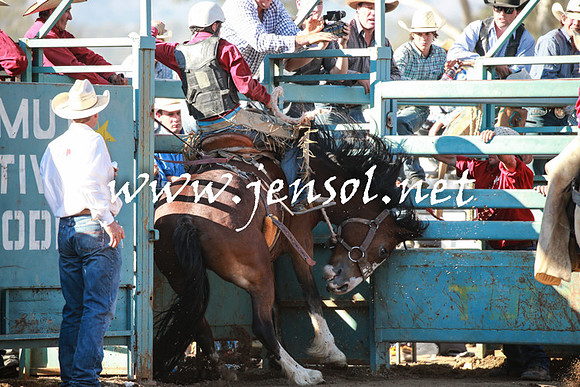 TumutRodeo2016Two_3846