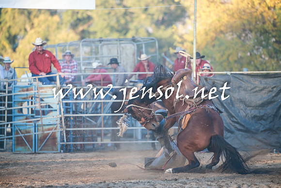 TumutRodeo2016Two_4780