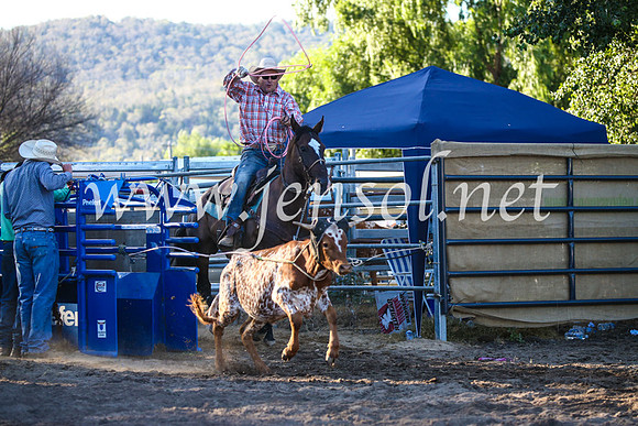 CoomaRodeo2017_2926