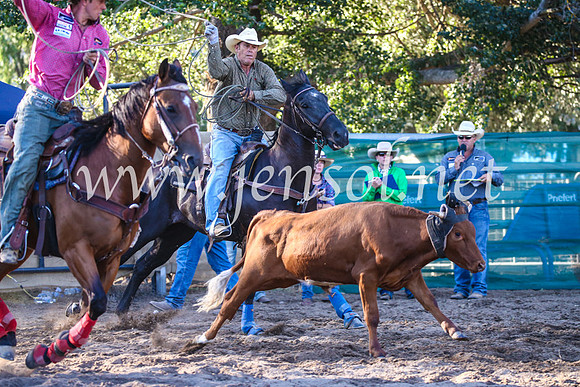CoomaRodeo2017_2923