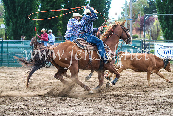 CoomaRodeo2017_1350
