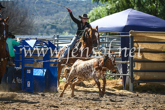 CoomaRodeo2017_2396
