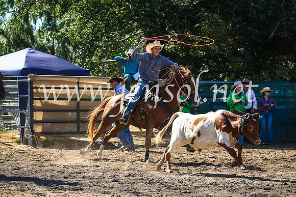 CoomaRodeo2017_2439