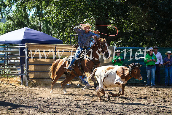 CoomaRodeo2017_2441
