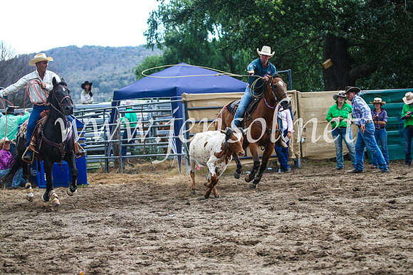 CoomaRodeo2017_1235
