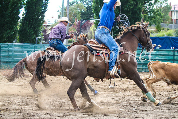 CoomaRodeo2017_1266