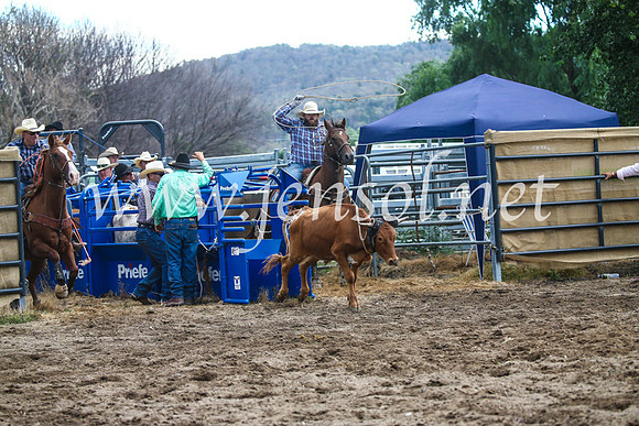 CoomaRodeo2017_1339