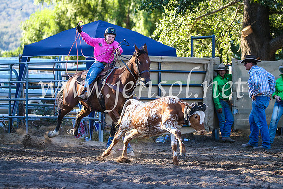 CoomaRodeo2017_2933
